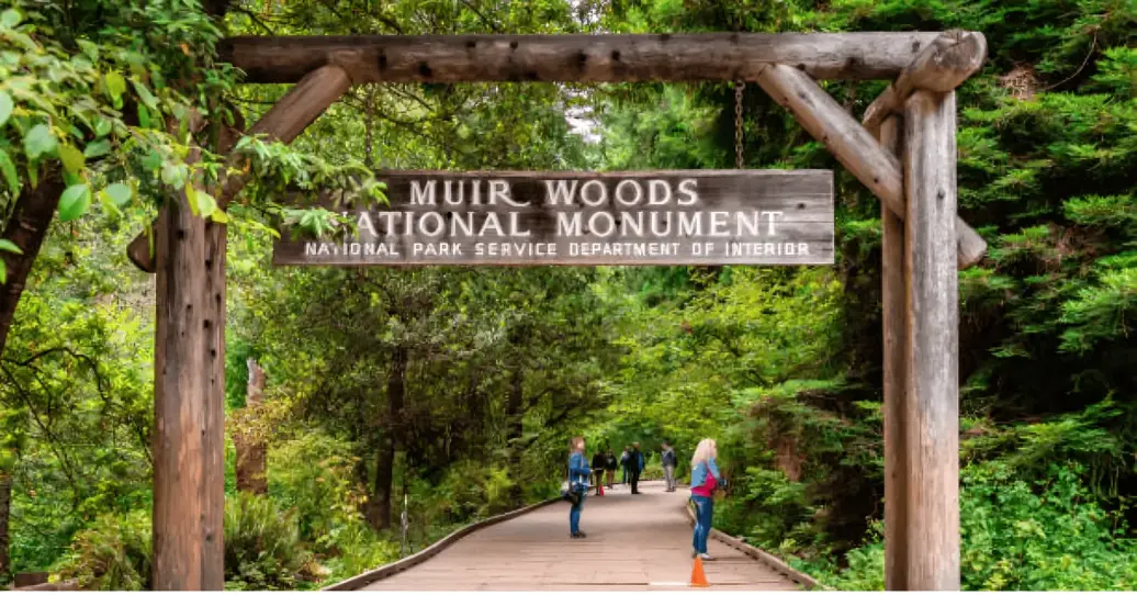 Muir Woods National Monument